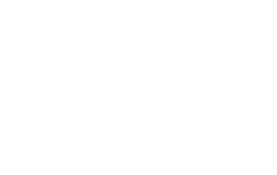 Centri Business Consulting Centri Business Consulting