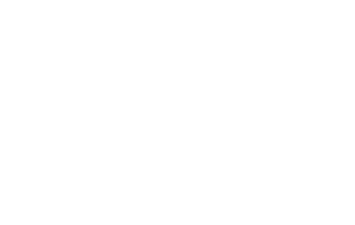 Sky Zone SkyZone